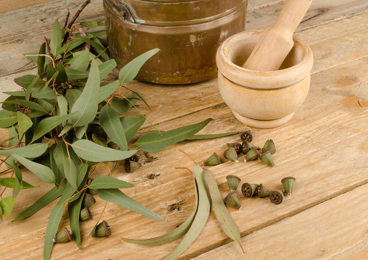 Emu Ridge Eucalyptus Oil Distillery
